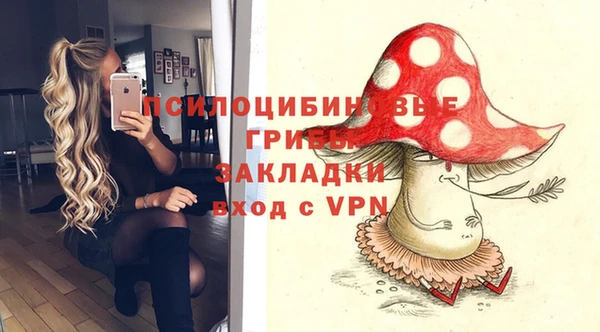 PSILOCYBIN Верхнеуральск